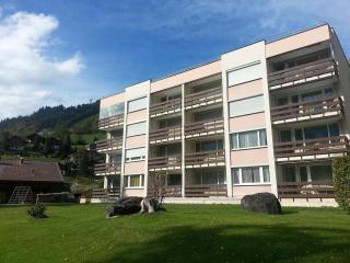 Apartment Neuschwändi 66 by Interhome - Engelberg - 0