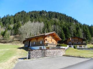 Apartment Studio Rinderbergblick by Interhome - Zweisimmen - 8