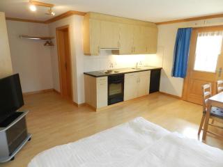 Apartment Studio Rinderbergblick by Interhome - Zweisimmen - 1