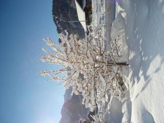 Apartment Aegertenstrasse 10 by Interhome - 2