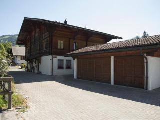 Apartment Steimandli by Interhome - Gstaad - 6
