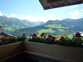 Apartment Ferienhaus Niesen View by Interhome - Erlenbach im Simmental - 6