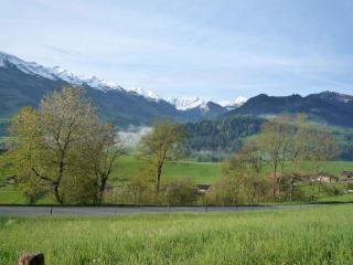 Apartment Ferienhaus Niesen View by Interhome - Erlenbach im Simmental - 7