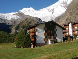Apartment Haus Amedee by Interhome - Saas-Fee - 9