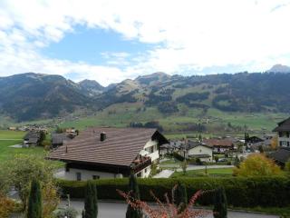 Apartment Weidli- Chalet by Interhome - Zweisimmen - 2