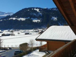 Apartment Bärnermutz # 2 by Interhome - Lenk im Simmental - 6