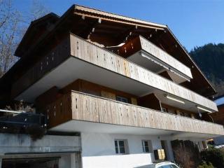 Apartment Fabiana by Interhome - Zweisimmen - 9