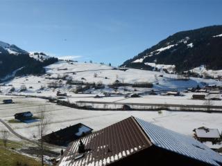 Apartment Fabiana by Interhome - Zweisimmen - 6