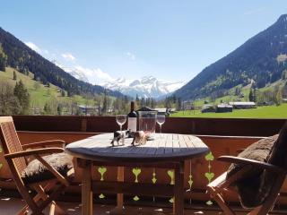 Apartment Farfalla by Interhome - Gstaad - 8