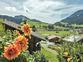 Apartment Christeli by Interhome - Zweisimmen - 2