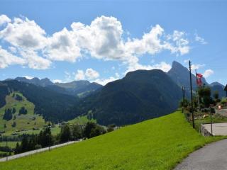 Apartment Rehweid - EG by Interhome - Gstaad - 7