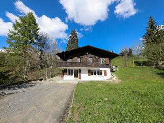 Apartment Möösli by Interhome - Lenk - 5
