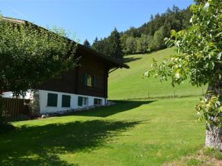 Apartment Rehweid - EG by Interhome - Gstaad - 6