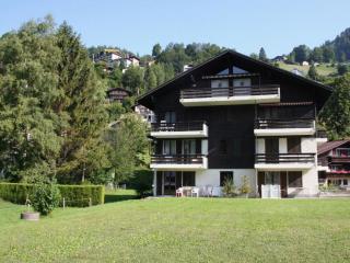 Apartment Sörenweg 5 by Interhome - Engelberg - 8
