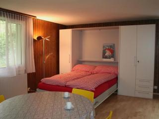 Apartment Sörenweg 5 by Interhome - Engelberg - 3