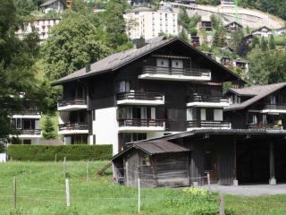 Apartment Sörenweg 5 by Interhome - Engelberg - 9
