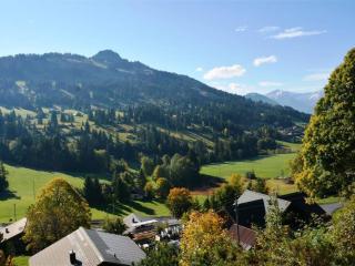 Apartment La Ruche- Chalet by Interhome - Gstaad - 2