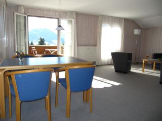 Apartment Monique Nr- 1 by Interhome - Gstaad - 3