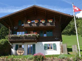 Apartment Rehweid - 2- Stock by Interhome - Gstaad - 0