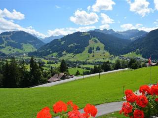 Apartment Rehweid - 2- Stock by Interhome - Gstaad - 8