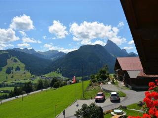 Apartment Rehweid - 2- Stock by Interhome - Gstaad - 6