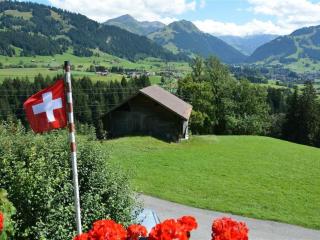 Apartment Rehweid - 2- Stock by Interhome - Gstaad - 7