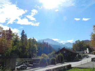 Apartment Studio Etana by Interhome - Zweisimmen - 4