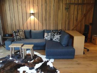 Apartment Appartment 8 by Interhome - Engelberg - 4
