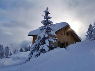 Apartment Amiel EG Süd by Interhome - Riederalp - 8