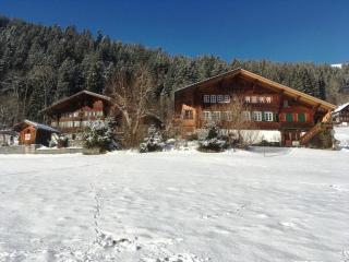 Apartment Obegghuus by Interhome - Zweisimmen - 0