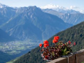 Apartment Zurschmitten 15 1- UG Süd by Interhome - 2