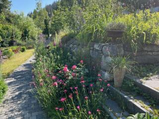 Apartment Obegghuus by Interhome - 2