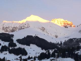 Apartment Hari by Interhome - Adelboden - 2