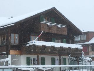 Apartment Hari by Interhome - Adelboden - 8