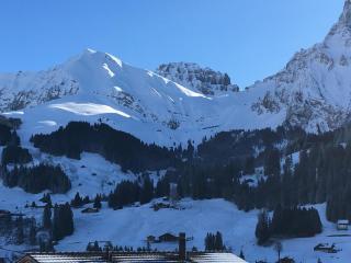 Apartment Hari by Interhome - Adelboden - 1
