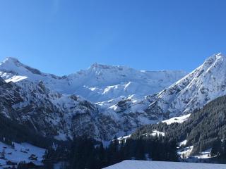 Apartment Hari by Interhome - Adelboden - 4