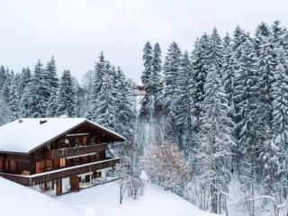 Apartment Graebi by Interhome - Gstaad - 8