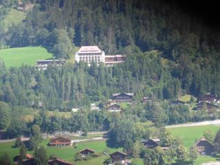 Apartment Fluehüsli by Interhome - Gstaad - 7
