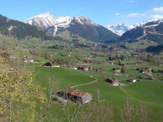 Apartment Fluehüsli by Interhome - Gstaad - 1