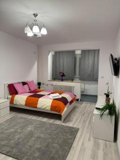 TITAN PARK Studio - Bucarest - 5