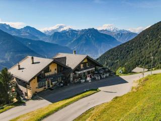 Apartment Zurschmitten 10 2- UG Süd by Interhome - Riederalp - 8