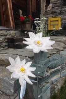 Apartment Antrona by Interhome - 4