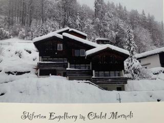 Apartment Chalet Murmeli by Interhome - Engelberg - 9