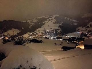 Apartment Les Hivernants - EG links by Interhome - Gstaad - 6
