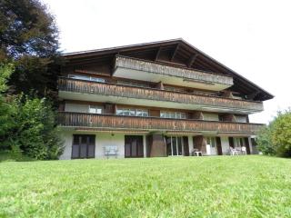 Apartment Diamant by Interhome - Zweisimmen - 0