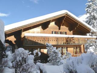 Apartment Am Schilf by Interhome - Lauenen - 0
