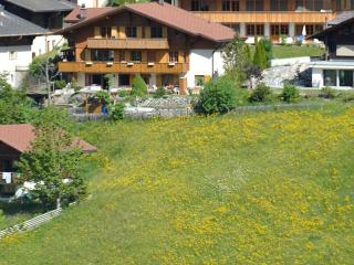 Apartment Marielle by Interhome - Adelboden - 0