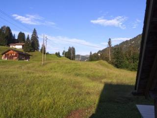 Apartment Burn- Alte Strasse by Interhome - Adelboden - 8