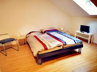 Apartment B&B am Berntor by Interhome - Thun - 0