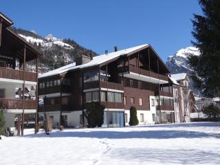 Apartment Dorfstrasse 53a by Interhome - Engelberg - 8